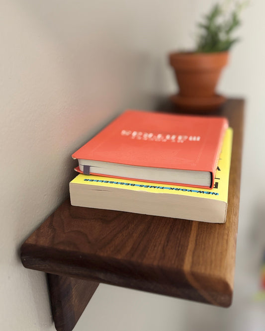 Wooden shelf with books and a plant on a white wall