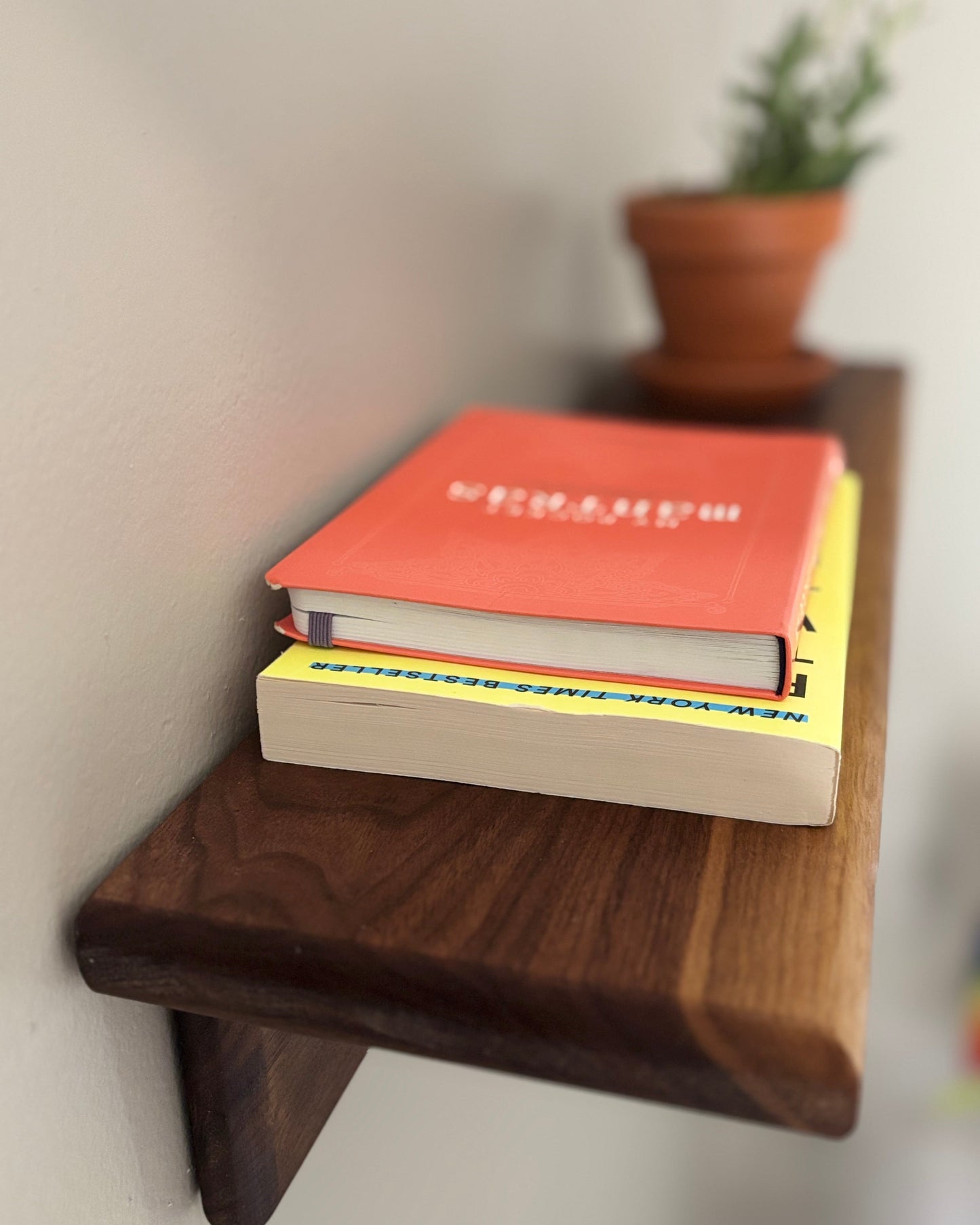 Wooden shelf with books and a plant on a white wall