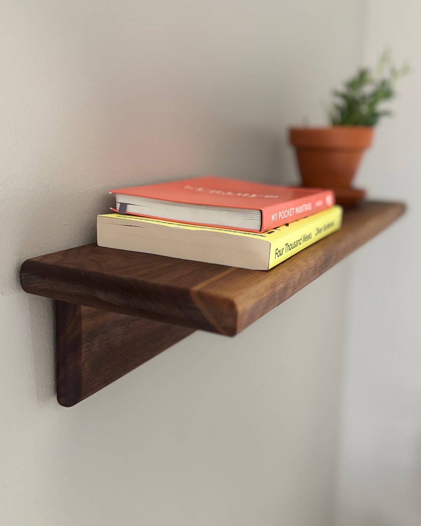 Wooden shelf with books and a plant on a plain wall