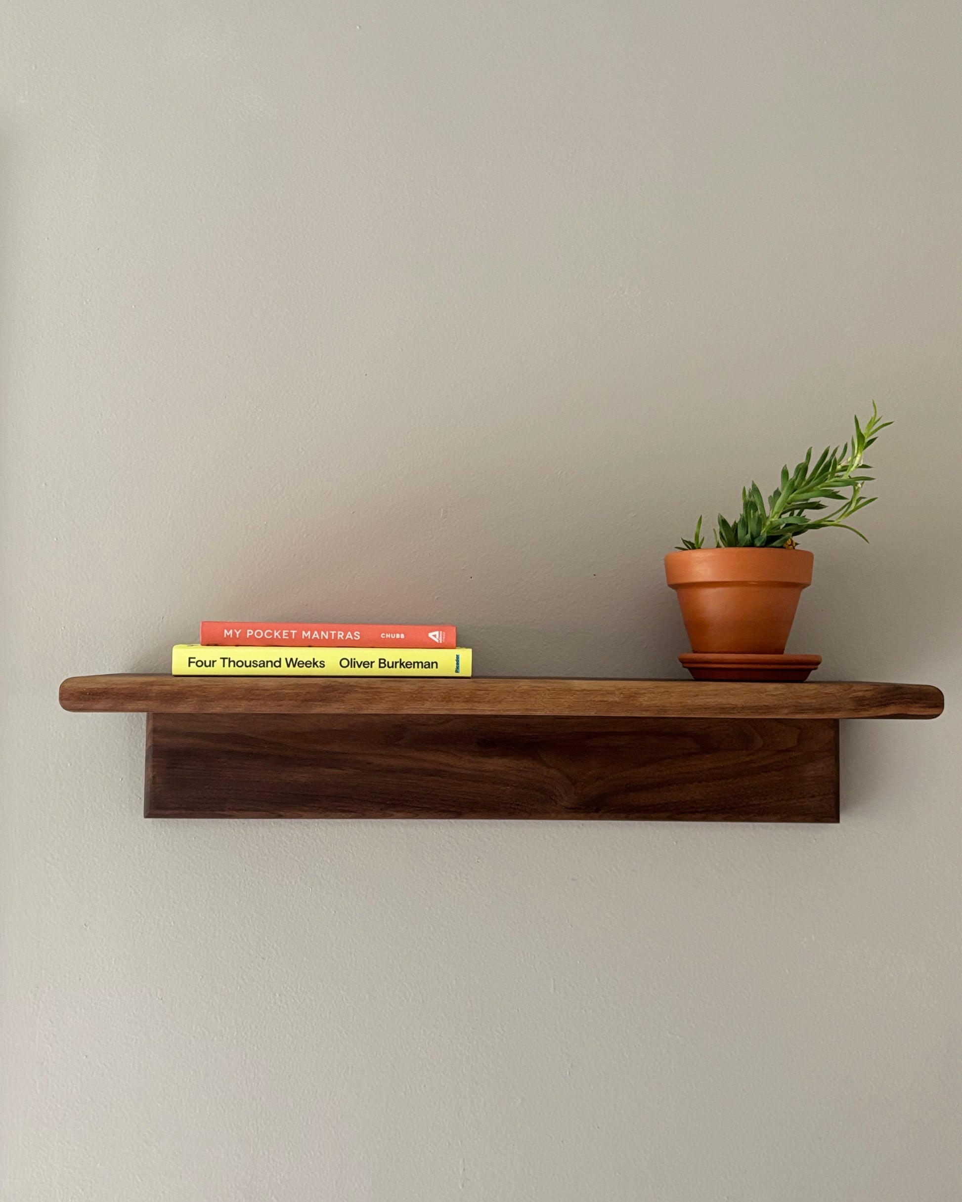 Wooden shelf with books and a potted plant on a plain wall