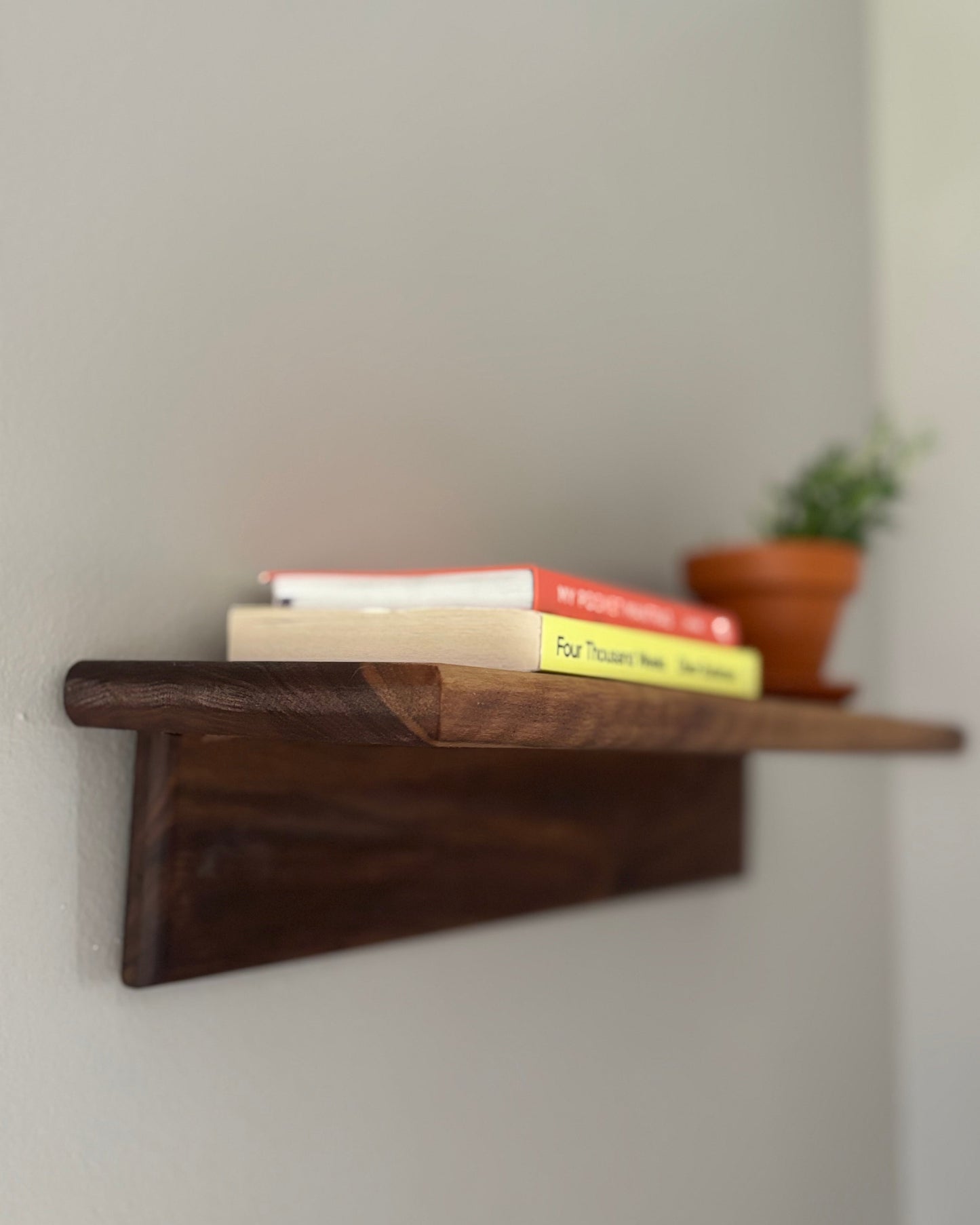 Wooden shelf with books and a plant against a white wall