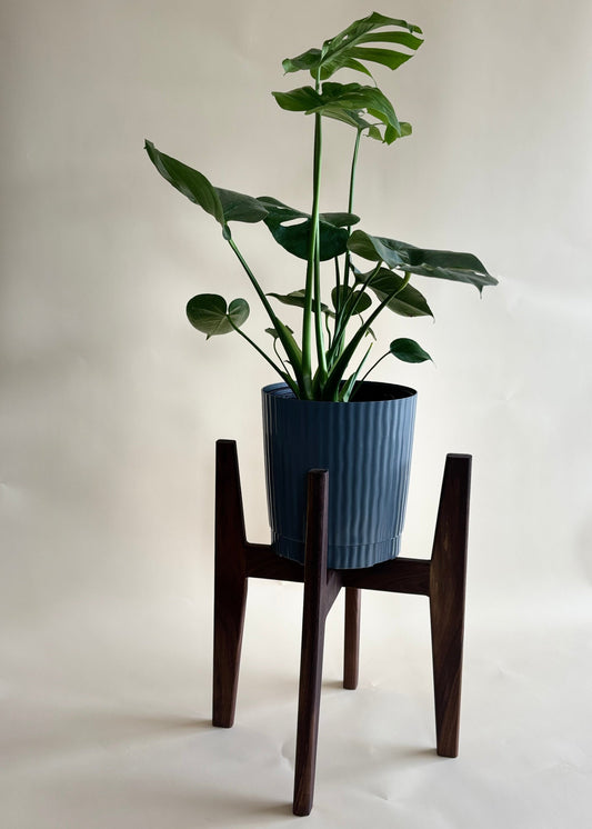 Green potted plant on a wooden stool against a white background